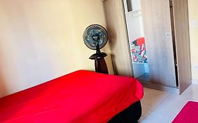 Apartamento novo Vila Guilhermina